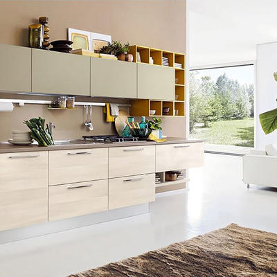 Affordable Customized Modern Kitchen Cabinets