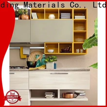 China modern kitchen cabinet for business
